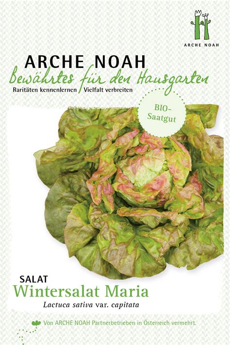 Salat Wintermarie Bio Salatsamen Von Arche Noah Samenhaus Samen