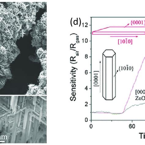 Sem Images Of Zno Hierarchical Nanostructures A Overall View B