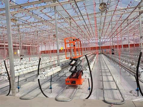 Greenhouse Picking Sissor Lift Platform China Vegetable Picker And