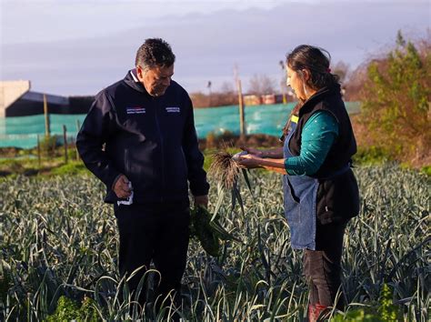 Ministro De Agricultura Lanzó Programa Siembra Por Chile Y Encabezó