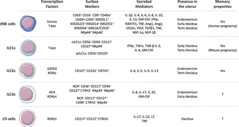 Frontiers Emerging Concepts In Innate Lymphoid Cells Memory And