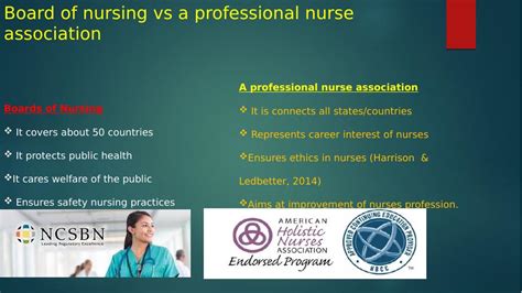 Board Of Nursing Vs A Professional Nurse Association