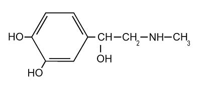 The Adrenaline/Epinephrine Molecule