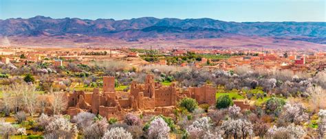 D Couvrez La Vall E De La Rose Kelaat Mgouna Un Voyage Inoubliable