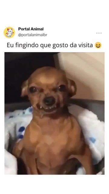 Koik Over On Instagram Eu Quando Como Um Pacot O De Ra O Kkkkkk