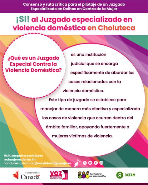 Qu Es Un Juzgado Especializado En Violencia Dom Stica Red Regional