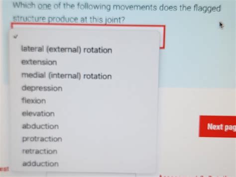 Identify The Specific Structure That Is Flagged Chegg