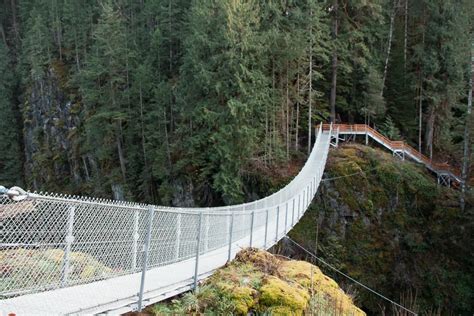 Exploring Elk Falls Suspension Bridge: A Nature Lover's Paradise