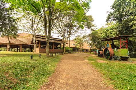 Parque Cemucam - Parque CEMUCAM completa 53 anos e projeta comemorações com atividades ...