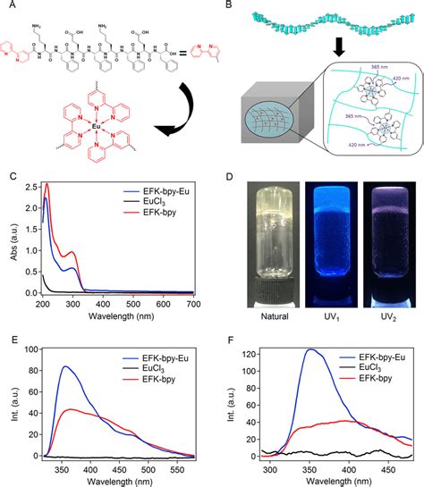 Schematic Illustration And Fluorescence Of The Self Assembly Peptides