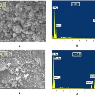 Sem Images Left Panels And Edx Spectra Right Panels For The Nmfss