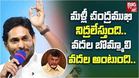 CM Jagan Comments On Chandrababu మళల చదరమఖ నదరలసతద వదల