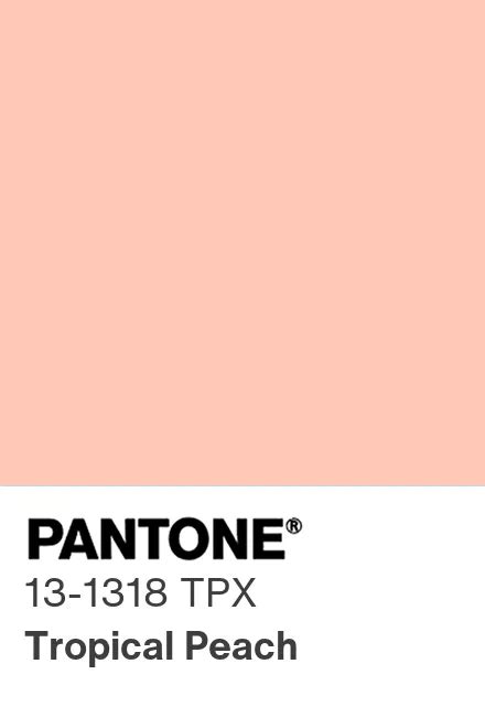 Pantone® Uk Pantone® 13 1318 Tpx Find A Pantone Color Quick Online Color Tool