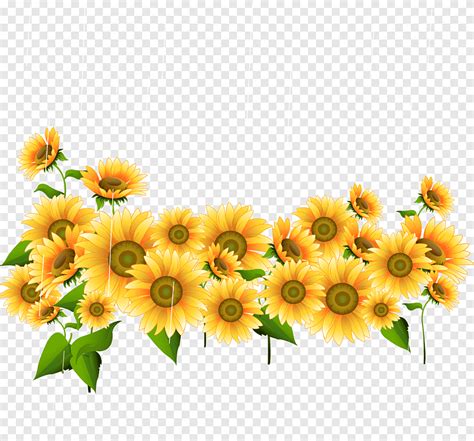 Lista 104 Foto Imagenes De Girasoles Para Dibujar A Color Mirada Tensa