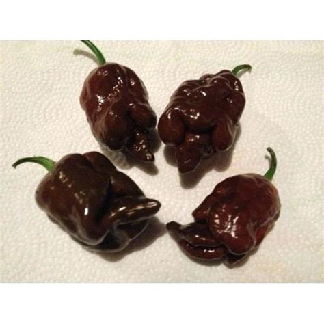 XXX Hot Peppers L D Ferragina Ltd