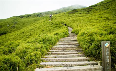 【合歡山步道懶人包】cp值爆棚的三條入門健行路線：合歡山北峰、合歡山東峰、合歡山主峰！ 健行筆記