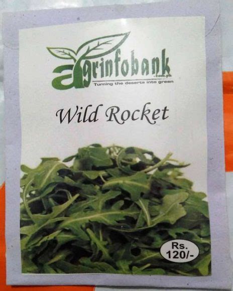 Wild Rocket Salad Seeds – Online Gardening Shop