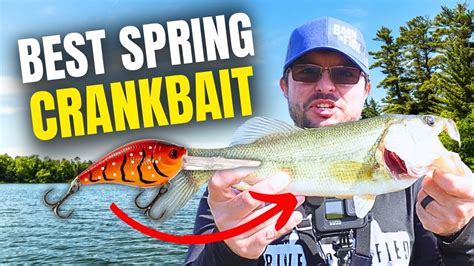 Expert Tips For Spring Bass Fishing With Crankbaits Which Crankbait Is