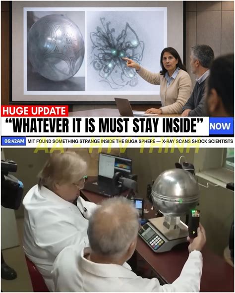 Singer - 😱 MIT’s X-Ray Scans Reveal a Mysterious Secret Inside the Buga
