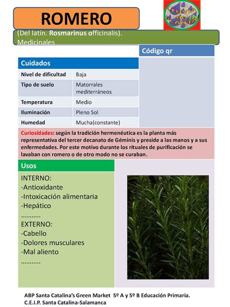 Fichas De Plantas Medicinales Lluvia De Plantas Calameo Downloader