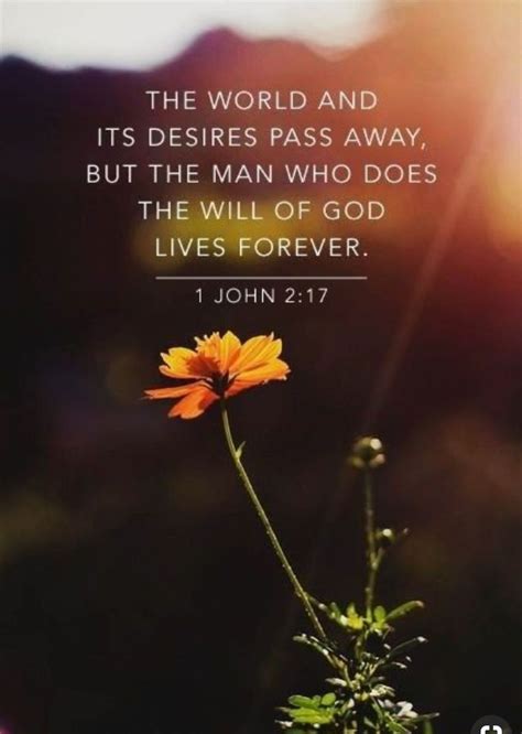 John Bible Quotes - ShortQuotes.cc