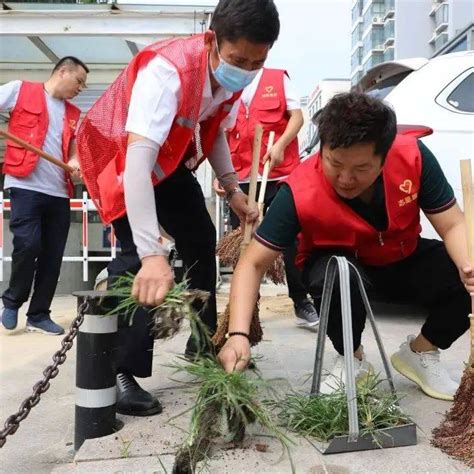 志愿服务 兰山区银雀山街道： 网格员“多员合一” 小“螺丝钉”奉献大力量社区文明张大叔