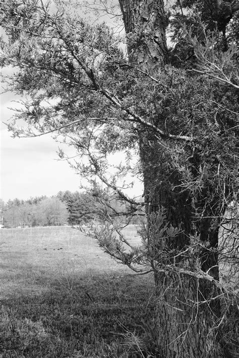 Kettle Moraine State Forest Lapham Peak Unit Fujifilm X