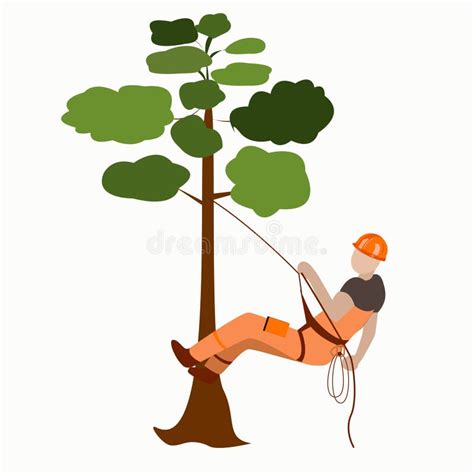 Arborist Stock Illustrations 243 Arborist Stock Illustrations