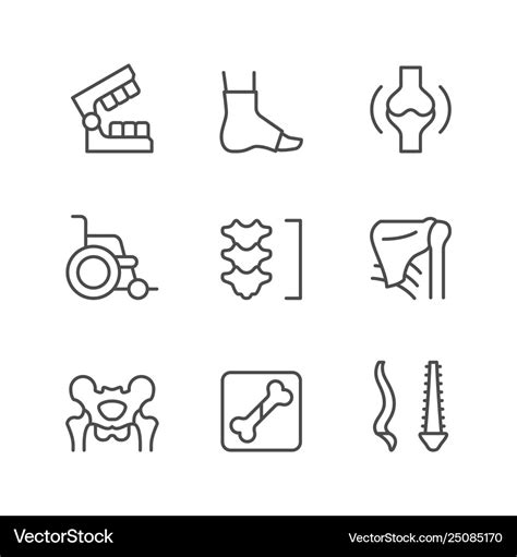 Set Line Icons Orthopedics Royalty Free Vector Image