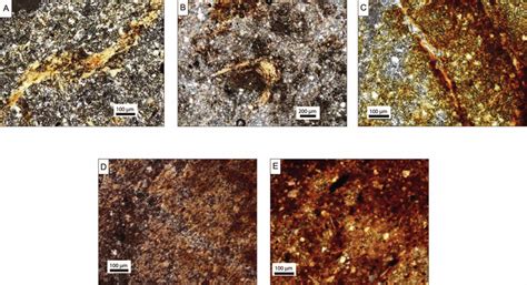 Microscopic Features Of Thin Sections From Cores All Photos Are In Download Scientific