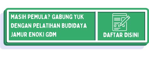 Inilah Petunjuk Budidaya Jamur Enoki Lengkap Buat Pemula