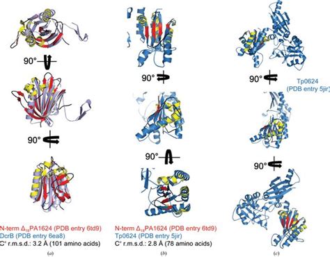 Iucr The Hypothetical Periplasmic Protein Pa1624 From Pseudomonas