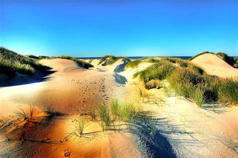 Dunas De Arena Playa Dinamarca Foto Gratis En Pixabay