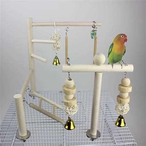 Parrot Playground Parakeet Perches Outside Cage Bird Climbing Ladder