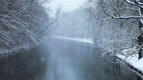 1920x1080 Cold Snow Winter Trees River Forest Coolwallpapers Me