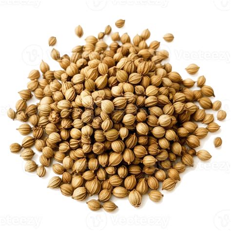 coriander seeds pngs