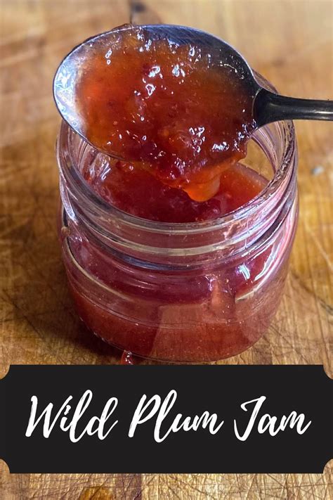 Wild Plum Jam · Jess in the Kitchen