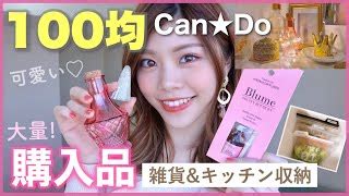 100均大量キャンドゥの購入品を使ってみたインテリア キッチン収納一人暮らしのCanDo雑貨集め 池田真子 池田真子100均