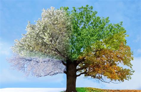 Teaching Kids About Weather & Four Seasons of The Year