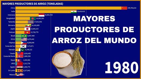 Los Principales Pa Ses Productores De Arroz Youtube