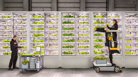 Vertical Farming Infarm Plant Ausstieg Aus Europa