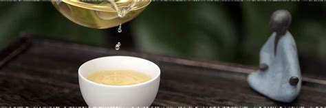 Chinese Tea History Part Ⅲ – White Tea History – teavivre