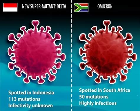 前所未見 科學家發現最多突變的新冠肺炎變種病毒 焦點即時 焦點 世界新聞網