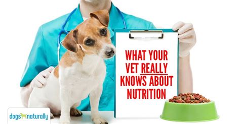 What Does Your Dog's Vet Know About Nutrition?