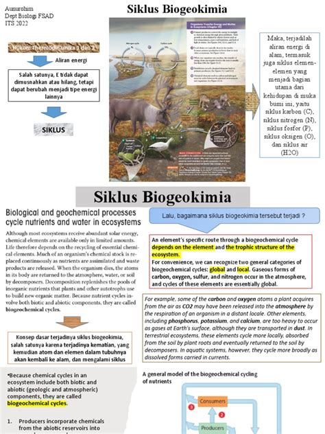 Siklus Biogeokimia Retensi Nutrien Pdf Ecosystem Carbon Dioxide