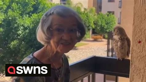 98 Year Old Grandma Receives Weekly Visits From Chatty Owl 🦉 Swns Youtube