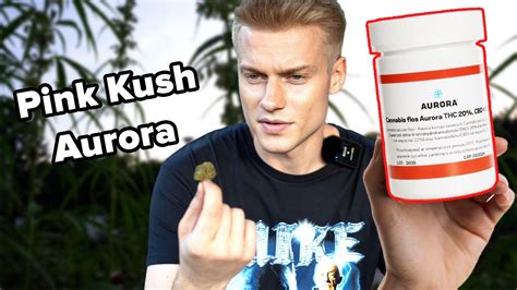 Pink Kush Aurora Medyczna Marihuana Test I Recenzja Odmiany Youtube