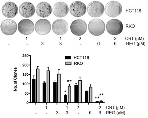 The Cytotoxic Effects Of Regorafenib In Combination With Protein Kinase