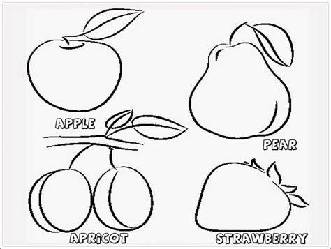 Sketsa Gambar Buah Buahan Dalam Keranjang Yang Mudah 11 Sketsa Buah