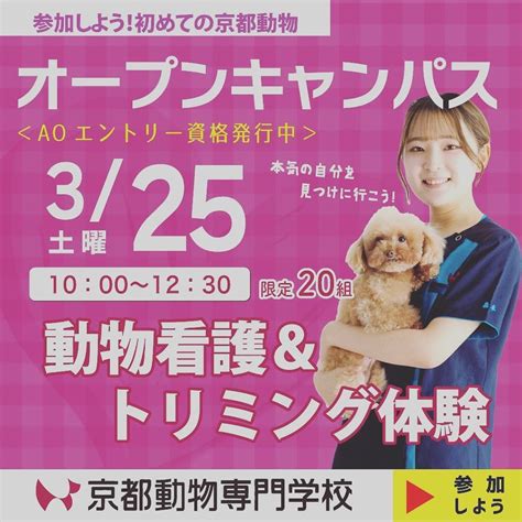 まじめに学べる京都動物専門学校 On Twitter 【春休みのオーキャン♪】トータル動物看護体験を実施しました！ 明日はいよいよ最終日